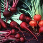 red_beets_radish_4