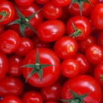 red_tomatoes_4